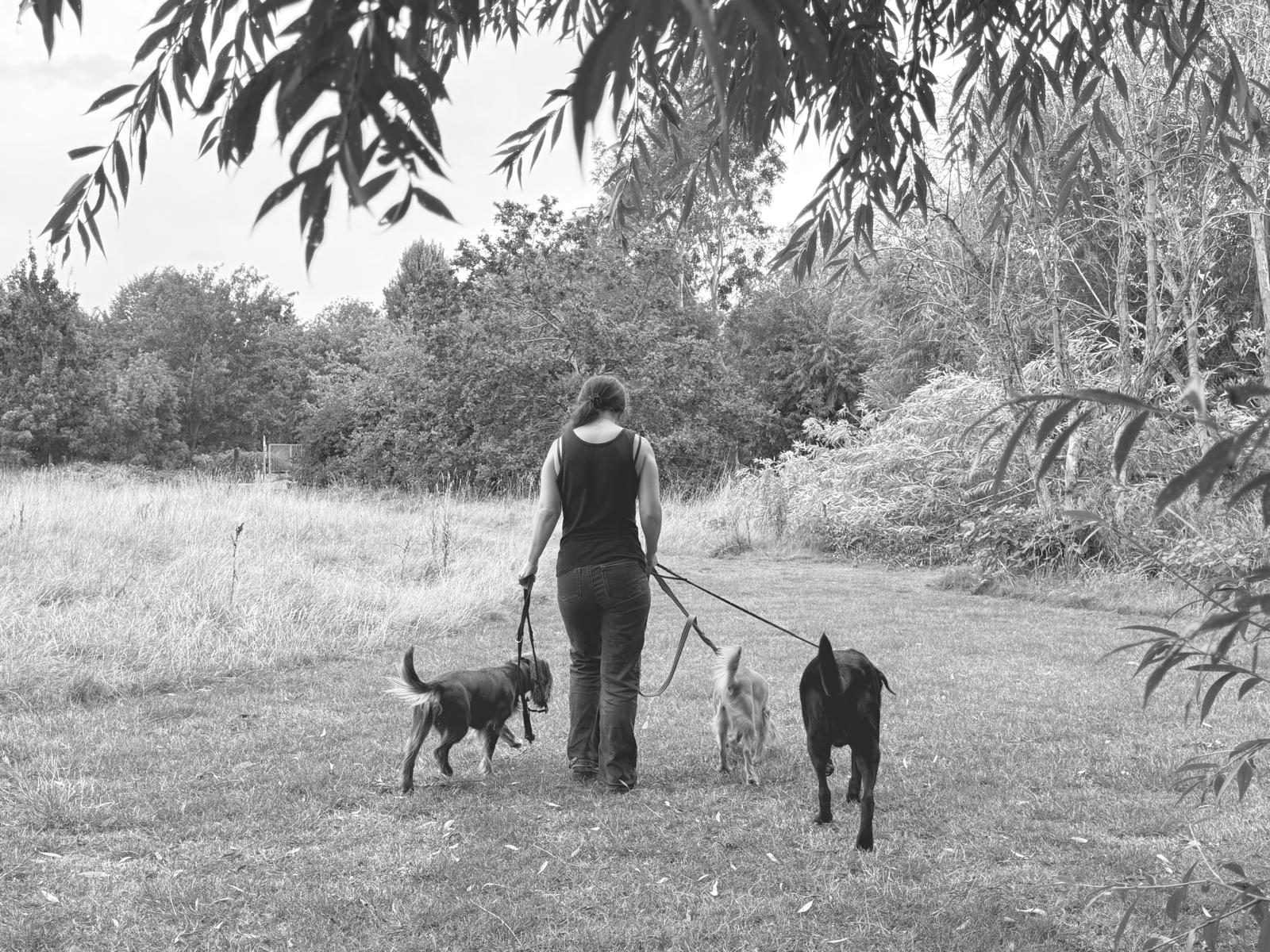 Sonja, founder of Footprints with Pawprints